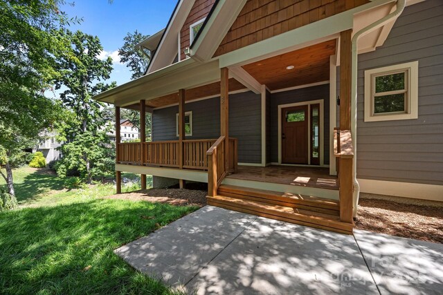 3 River Stone Trl, Asheville, NC 28805 - photo 3