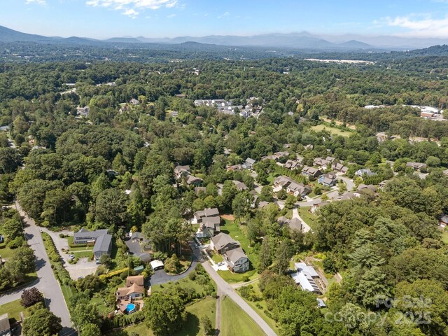 3 River Stone Trl, Asheville, NC 28805 - photo 23