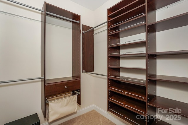 19421 Beaufain St, Cornelius, NC 28031 - spacious closet featuring light colored carpet