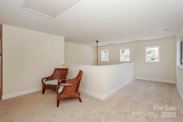 19421 Beaufain St, Cornelius, NC 28031 - sitting room with carpet