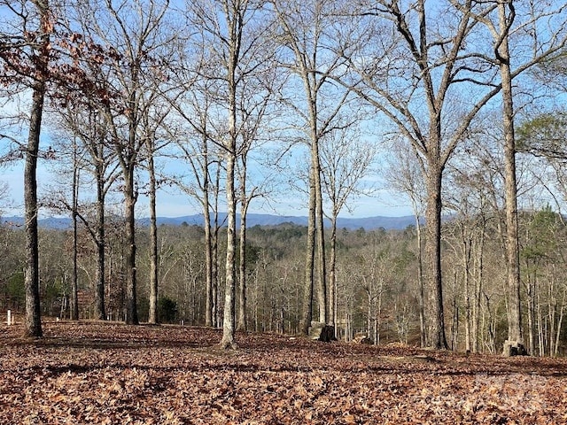 10 Arbor Creek Trl Unit 10, Mineral Bluff, GA 30559