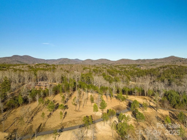10 Arbor Creek Trl Unit 10, Mineral Bluff, GA 30559