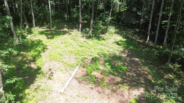138 English Dr, Candler, NC 28715 - photo 7