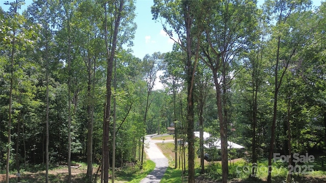 138 English Dr, Candler, NC 28715 - photo 8