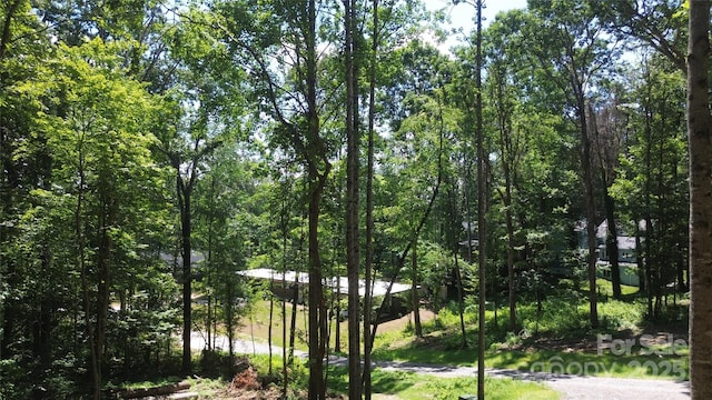 138 English Dr, Candler, NC 28715 - photo 9