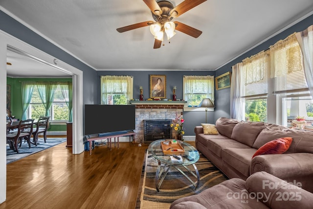 2401 NC-181 Hwy, Morganton, NC 28655 - photo 9