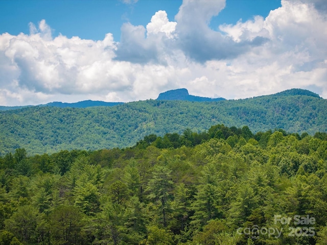 7376 NC-181 Hwy, Morganton, NC 28655 - mountain view with a forest