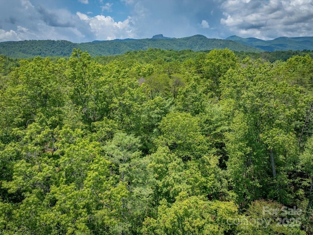7376 NC-181 Hwy, Morganton, NC 28655 - view of mountain backdrop featuring a heavily wooded area