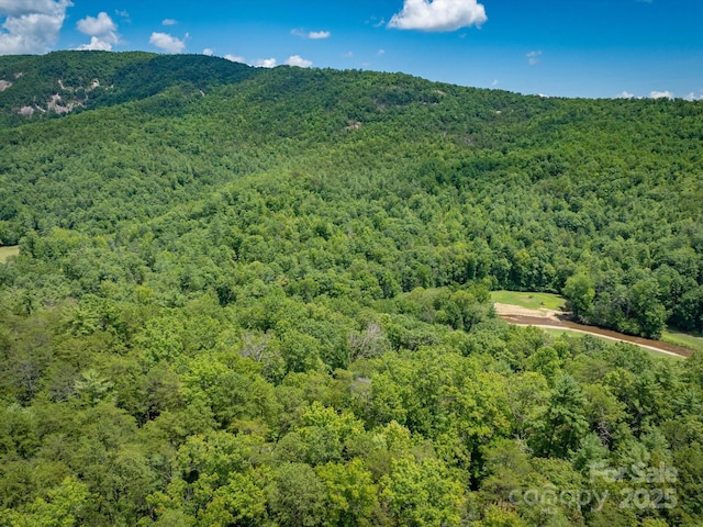7376 NC-181 Hwy, Morganton, NC 28655 - bird's eye view of a heavily wooded area and mountains