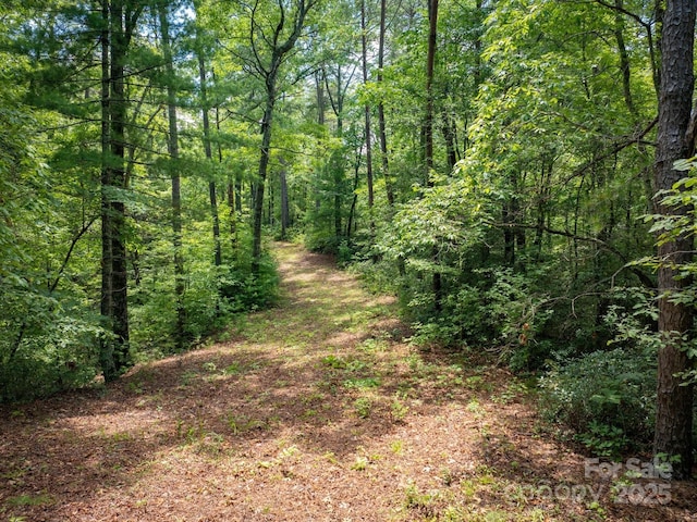 7376 NC-181 Hwy, Morganton, NC 28655 - view of tree filled area