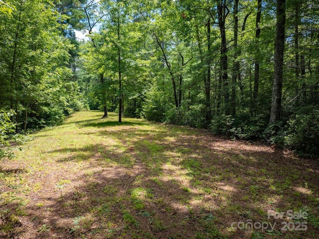 7376 NC-181 Hwy, Morganton, NC 28655 - view of yard featuring a view of trees