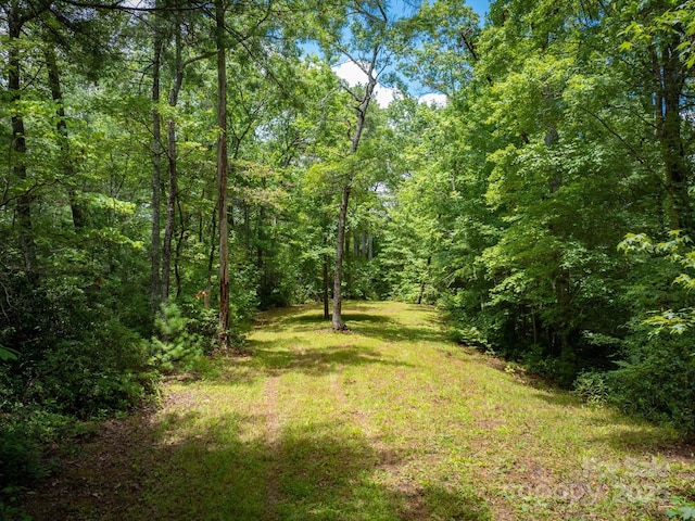 7376 NC-181 Hwy, Morganton, NC 28655 - view of tree filled area