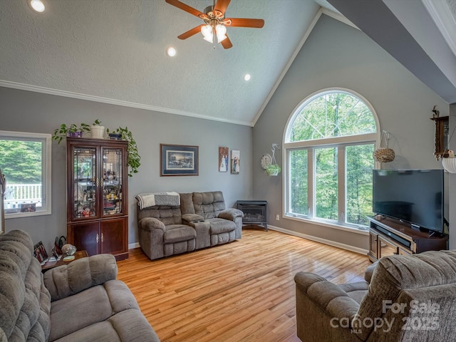 7376 NC-181 Hwy, Morganton, NC 28655 - living area with a ceiling fan, wood finished floors, and lofted ceiling