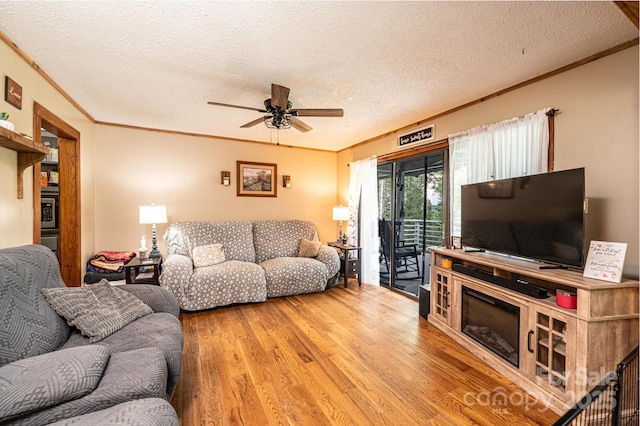 3245 Frank Martin Ln, Lenoir, NC 28645 - photo 29