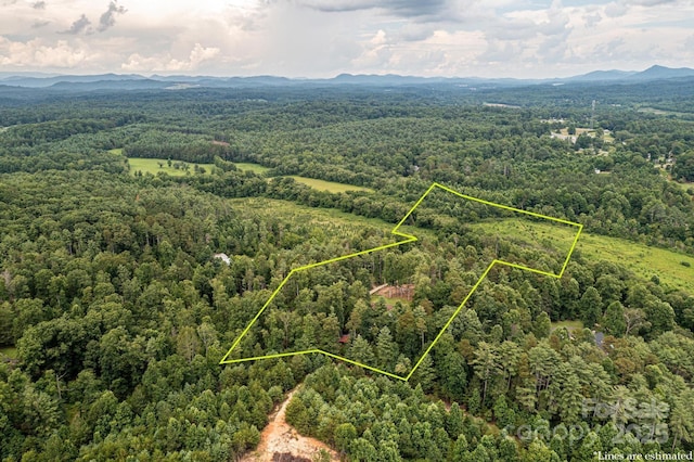 3245 Frank Martin Ln, Lenoir, NC 28645 - photo 45