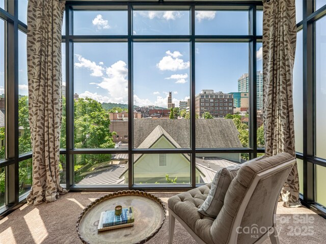 60 N Market St Unit 402, Asheville, NC 28801 - photo 16
