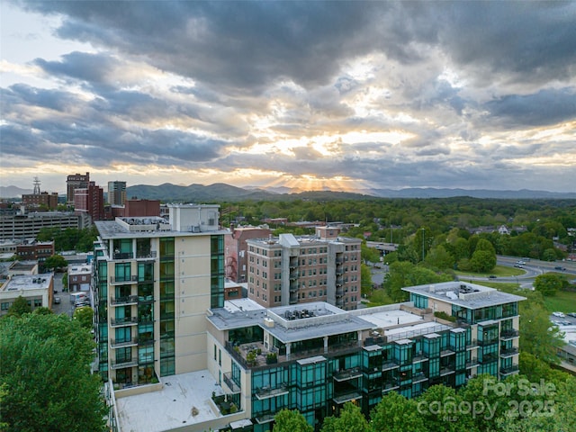 60 N Market St Unit 402, Asheville, NC 28801 - photo 29