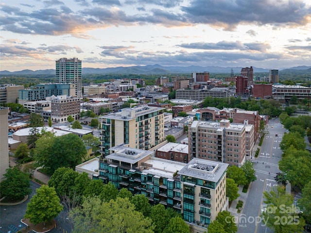 60 N Market St Unit 402, Asheville, NC 28801 - photo 30
