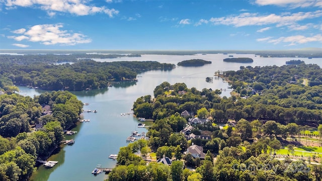 20234 Middletown Rd, Cornelius, NC 28031 - drone / aerial view of a large body of water