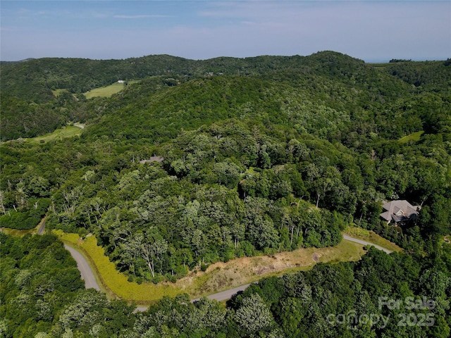 TBD Firethorn Trl Unit 142, Blowing Rock, NC 28605 - photo 9