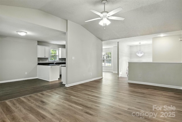 824 17th Avenue Dr SE, Hickory, NC 28602 - unfurnished living room with lofted ceiling, a ceiling fan, a textured ceiling, and dark wood-style floors