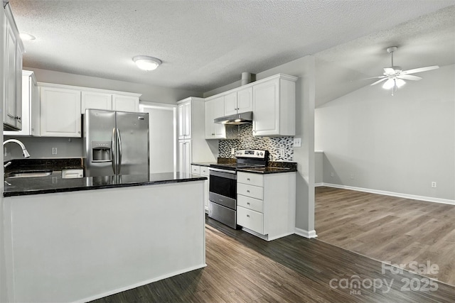 824 17th Avenue Dr SE, Hickory, NC 28602 - kitchen with appliances with stainless steel finishes, under cabinet range hood, dark wood-style floors, white cabinetry, and a ceiling fan