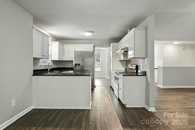 824 17th Avenue Dr SE, Hickory, NC 28602 - kitchen with stainless steel appliances, under cabinet range hood, dark wood-type flooring, a peninsula, and dark countertops