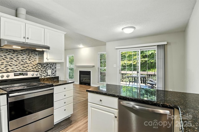 824 17th Avenue Dr SE, Hickory, NC 28602 - kitchen featuring stainless steel appliances, under cabinet range hood, wood finished floors, white cabinetry, and plenty of natural light
