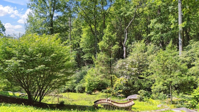 44 Rainbow Rd, Highlands, NC 28741 - photo 24