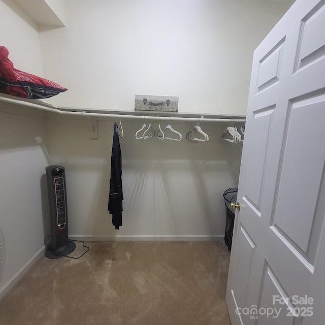 35 Cedarcliff Cir, Asheville, NC 28803 - photo 23