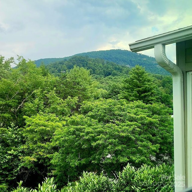 35 Cedarcliff Cir, Asheville, NC 28803 - photo 42