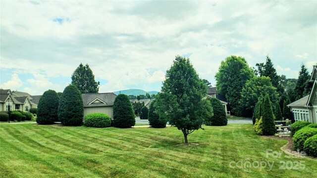 22 Florian Ln, Fletcher, NC 28732 - view of green lawn
