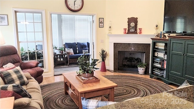 22 Florian Ln, Fletcher, NC 28732 - living room featuring a high end fireplace and wood finished floors