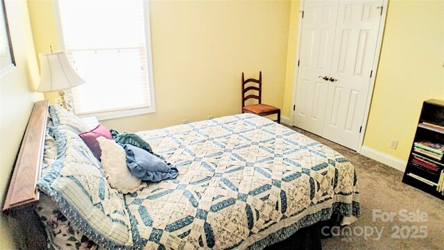 22 Florian Ln, Fletcher, NC 28732 - bedroom featuring carpet floors and a closet