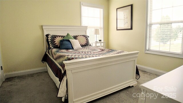 22 Florian Ln, Fletcher, NC 28732 - bedroom featuring light carpet and multiple windows