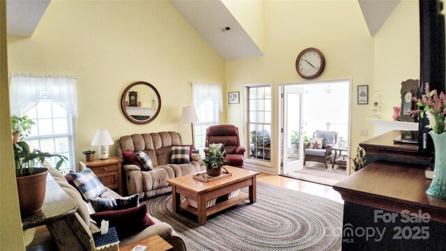 22 Florian Ln, Fletcher, NC 28732 - living area with high vaulted ceiling and wood finished floors