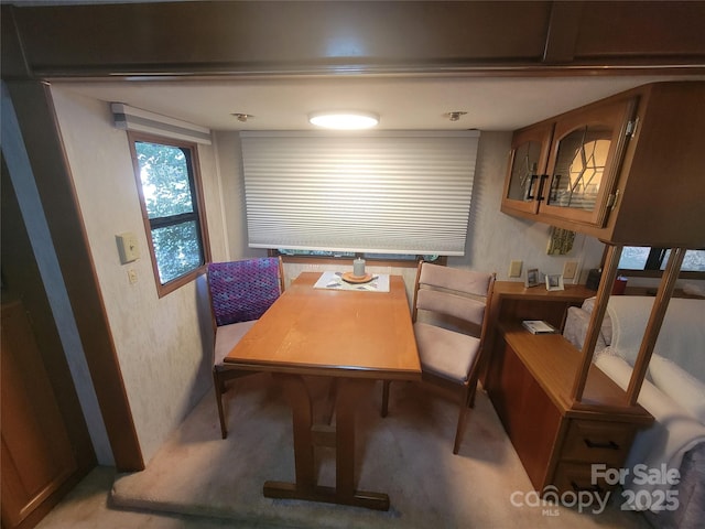 284 Aqua Vista Loop, Waynesville, NC 28786