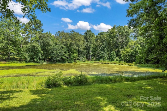 11060 Teresia Ln, Midland, NC 28107 - photo 9