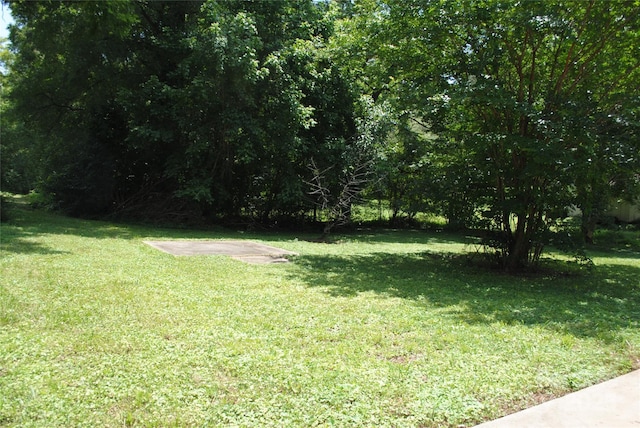 1125 Fries St, Salisbury, NC 28144 - view of green lawn