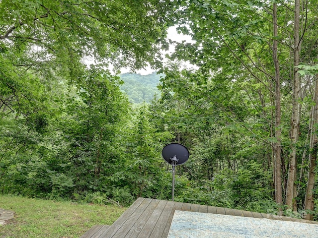 472 Hidden Valley Rd, Clyde, NC 28721 - photo 29