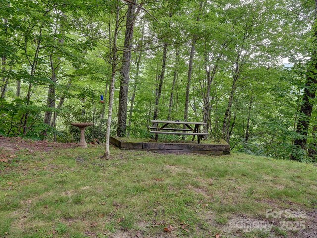 472 Hidden Valley Rd, Clyde, NC 28721 - photo 33