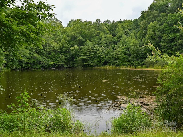 472 Hidden Valley Rd, Clyde, NC 28721 - photo 39