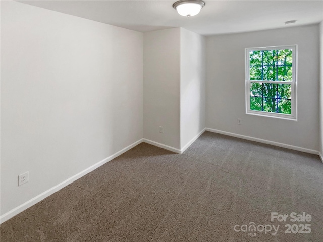 8004 Stevie Oaks Ln, Charlotte, NC 28215 - photo 15