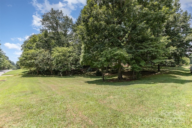 101 Citation Ln, Gastonia, NC 28056 - view of grassy yard