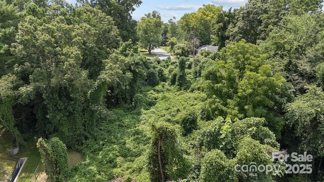 99999 Stewart St, Asheville, NC 28806 - photo 5