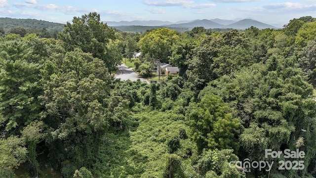 99999 Stewart St, Asheville, NC 28806 - photo 7