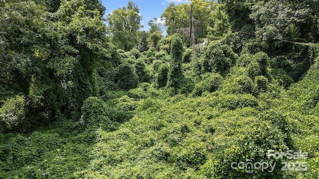 99999 Stewart St, Asheville, NC 28806 - photo 8