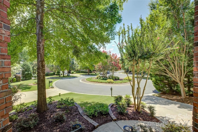 16749 Hammock Creek Pl, Charlotte, NC 28278 - photo 5