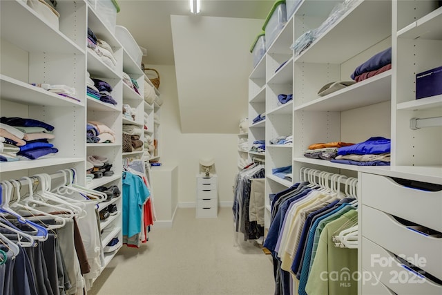 16749 Hammock Creek Pl, Charlotte, NC 28278 - photo 26