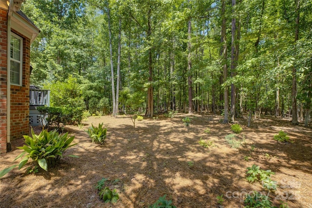 16749 Hammock Creek Pl, Charlotte, NC 28278 - photo 43